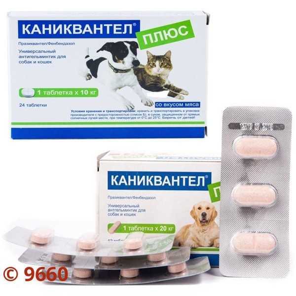 Каниквантел плюс для собак: инструкция по применению и отзывы