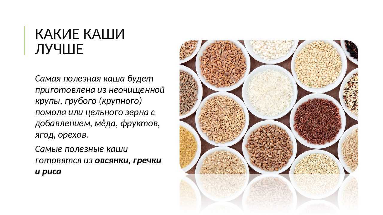 Какие крупы можно давать кошкам и как варить кашу котенку_ | wwwcat.ru