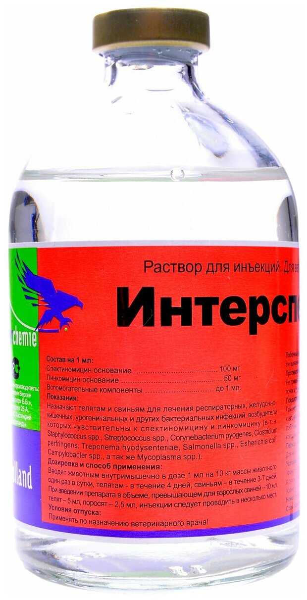 Марфлоксин для кошек: инструкция по применению, показания и противопоказания, аналоги, отзывы