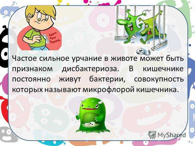 Почему у кота урчит в животе