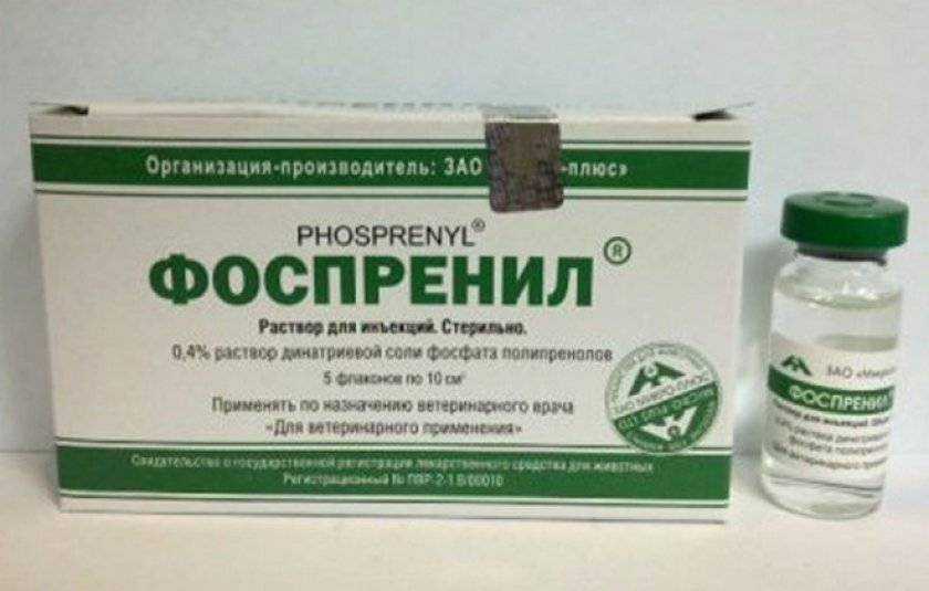 Риботан для собак – средство, повышающее иммунитет
