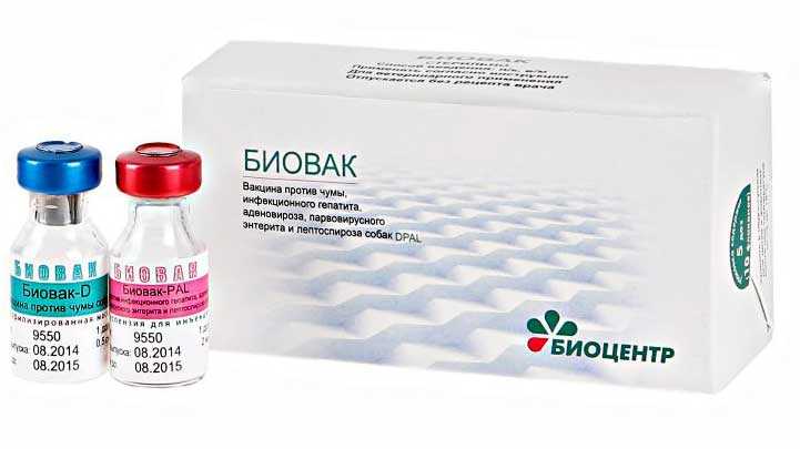 Прививка (вакцина) от бешенства собаке помогает или нет