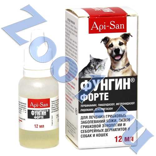 Инструкция по применению препарата «фунгин форте» для лечения кошек от лишая и других кожных патологий