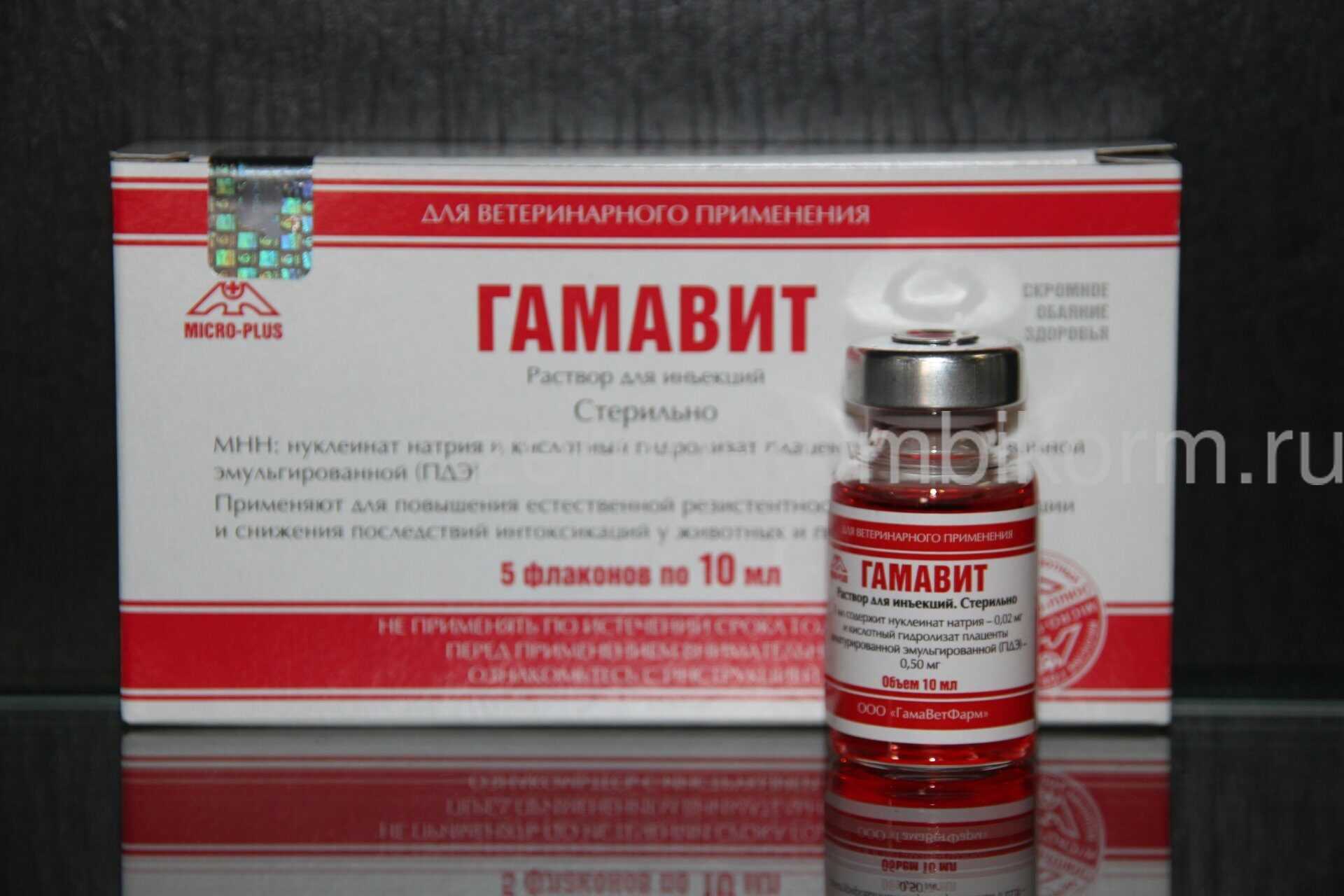 Гамавит для собак — инструкция по применению