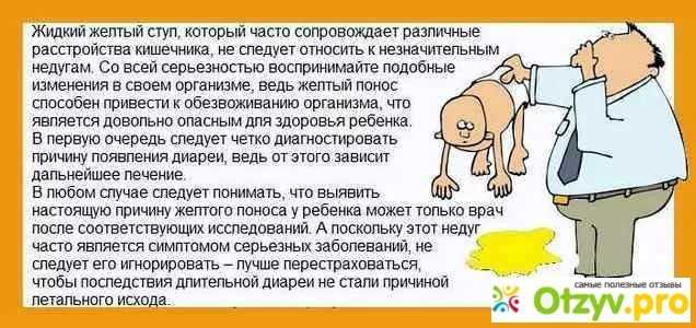 Рвота у кошки