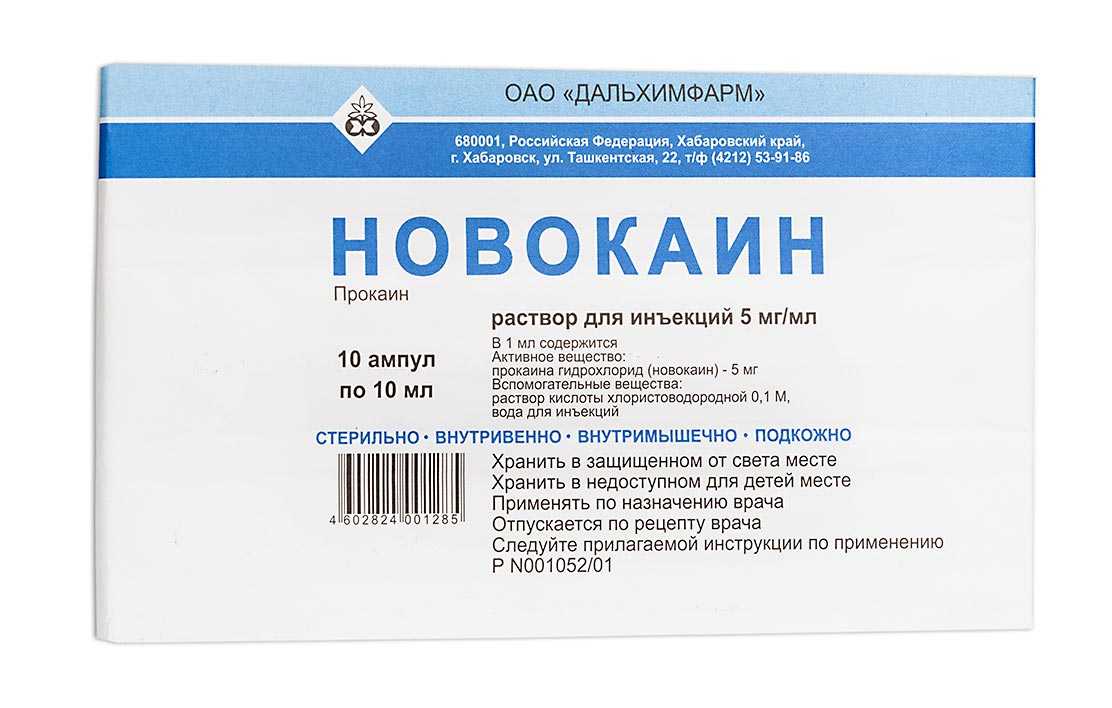 Сколько лет живут кошки в домашних условиях и 10 советов, как ее продлить