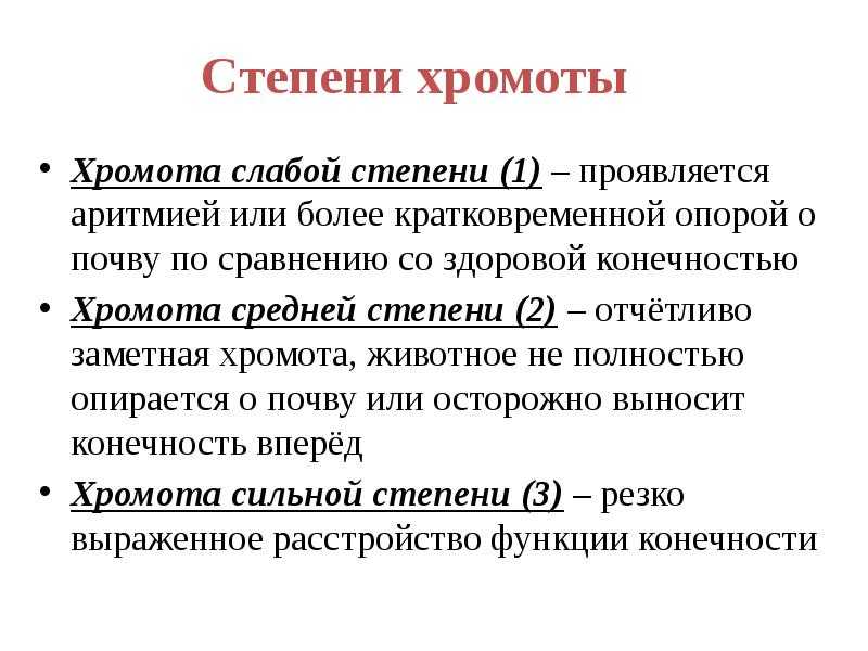 Собака вдруг начала хромать