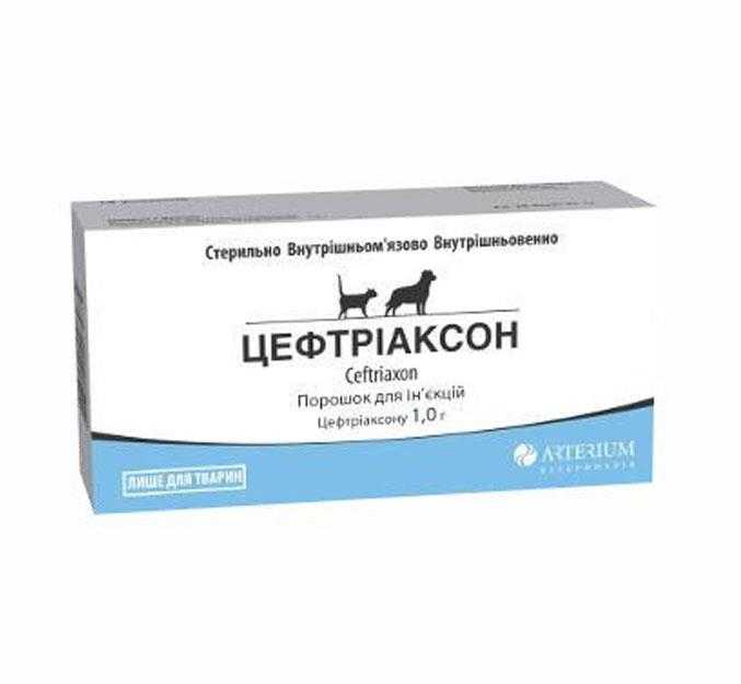 Цефтриаксон для кошек: инструкция по применению, дозировка, особенности назначения и ограничения