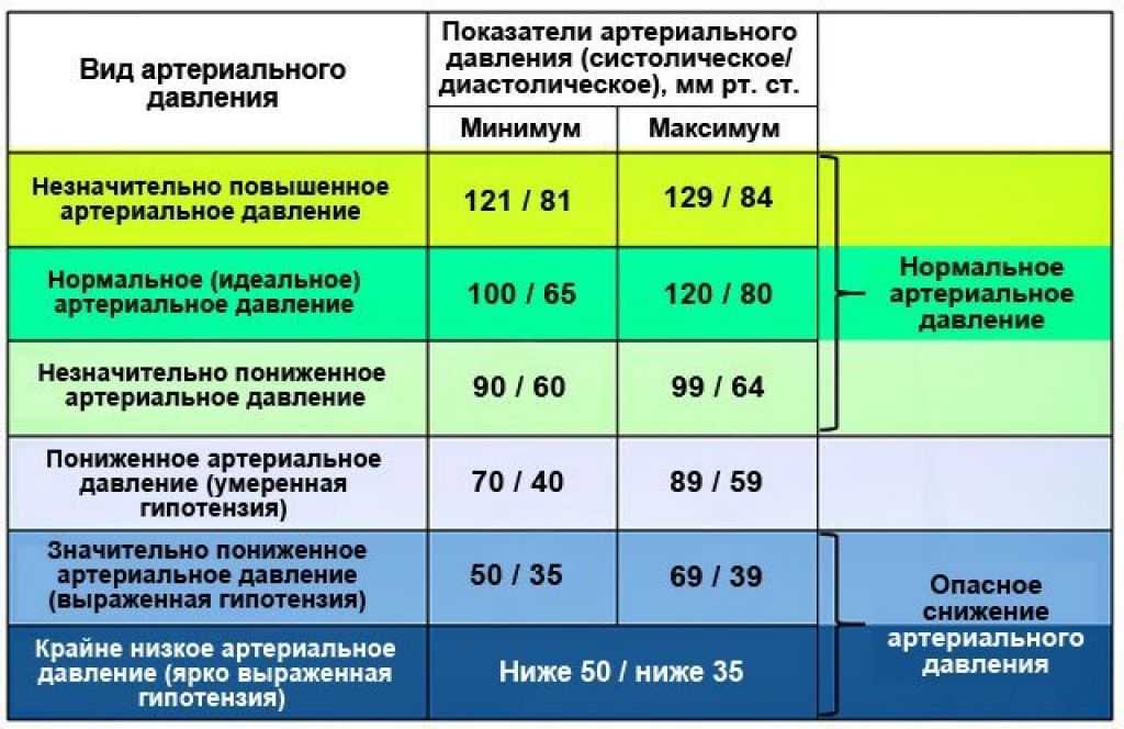 Давление у собаки: норма, как измерить дома, причины повышенного или пониженного давления - zoosecrets