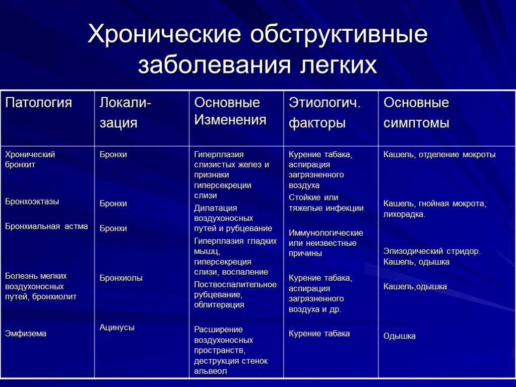 Одышка у кошки - физиологические и патологические причины