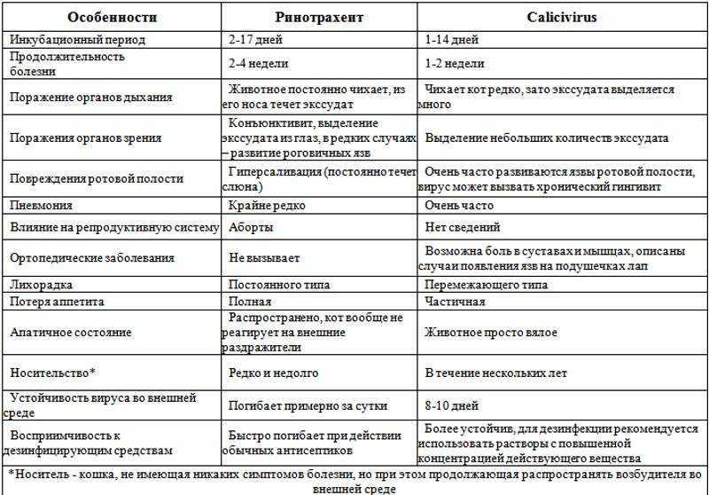 Неспецифическое воспаление кишечника у кошки, симптомы, лечение