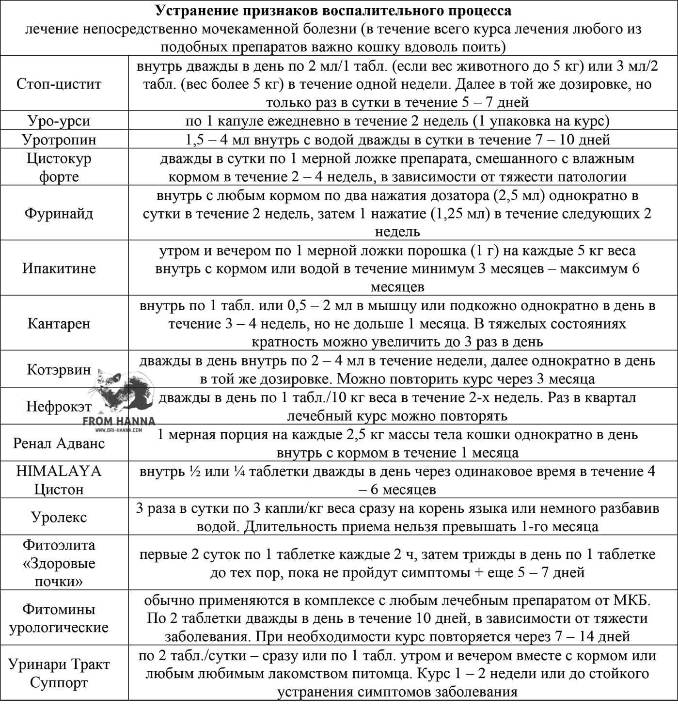 Можно ли взрослого кота кастрировать: последствия кастрации