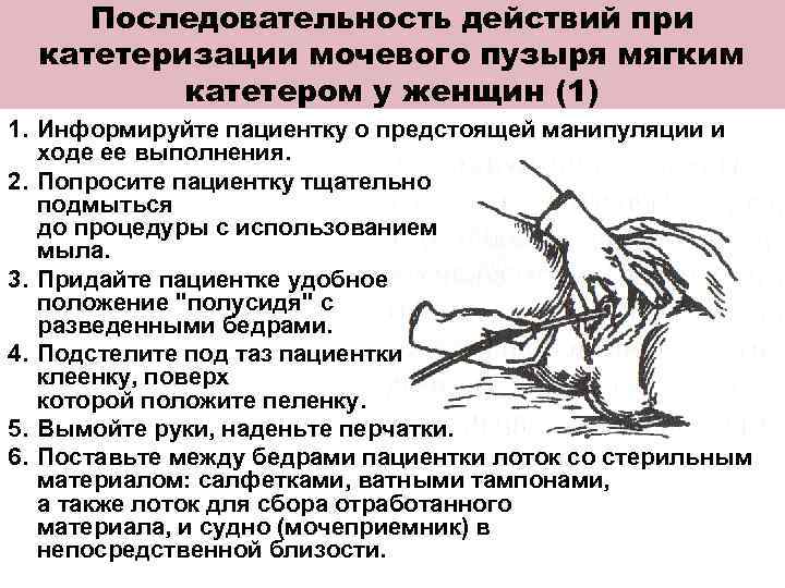 Как сделать коту или кошке массаж мочевого пузыря | видео