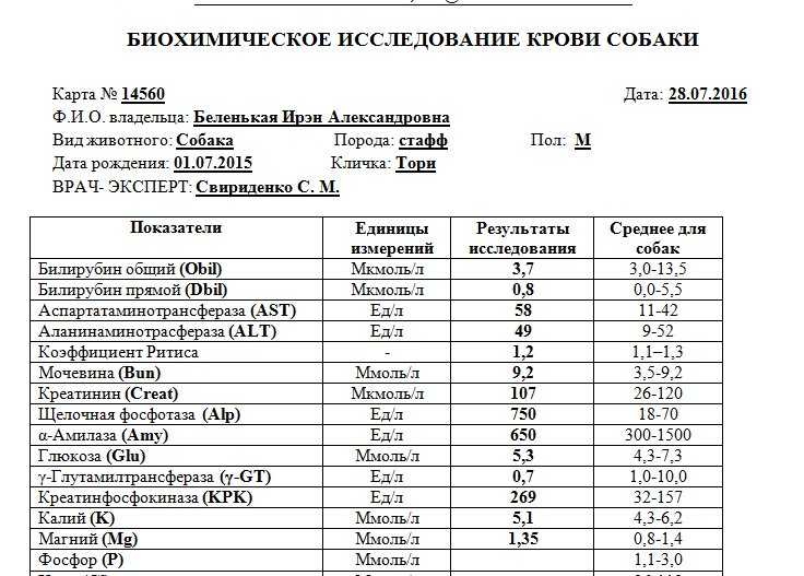 Синдром аддисона у собак