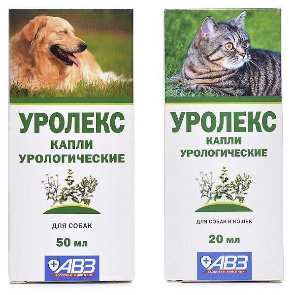 Уролекс для кошек: инструкция по применению, аналоги, отзывы