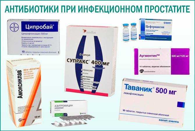Орхит у кота лечение