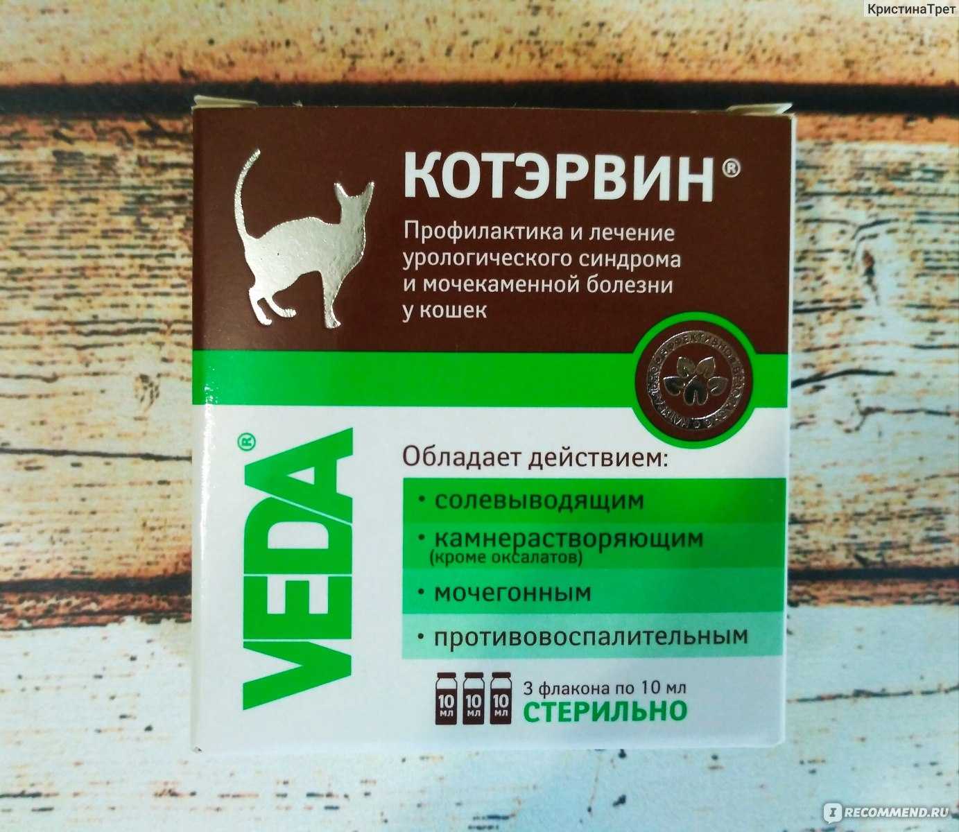 Мочекаменная болезнь у котов | симптомы и лечение | диета при мкб
