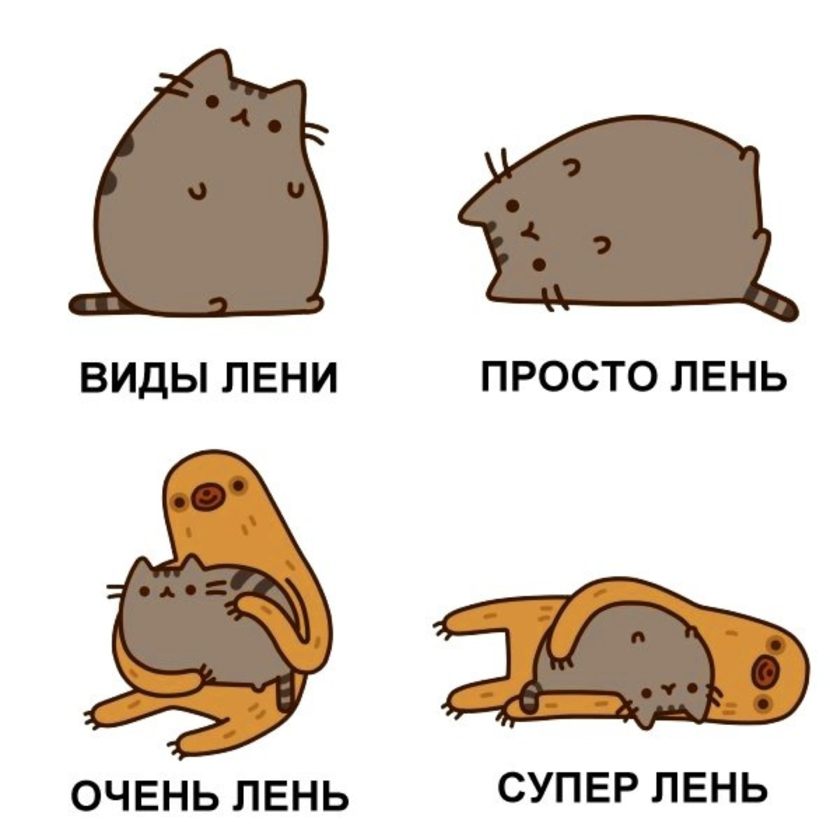 Почему коты такие ленивые