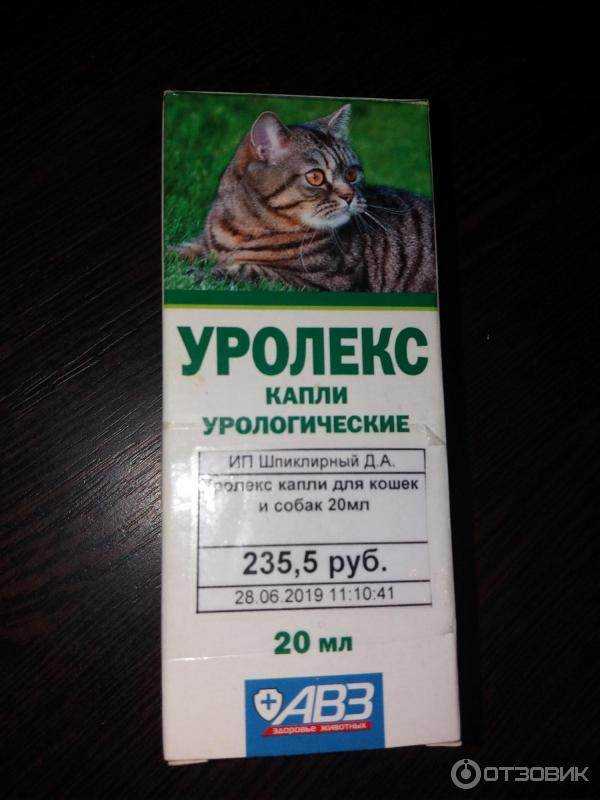 Препарат уролекс при мочекаменной болезни у кошек