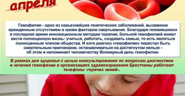 Генетические заболевания кошек: список и фото