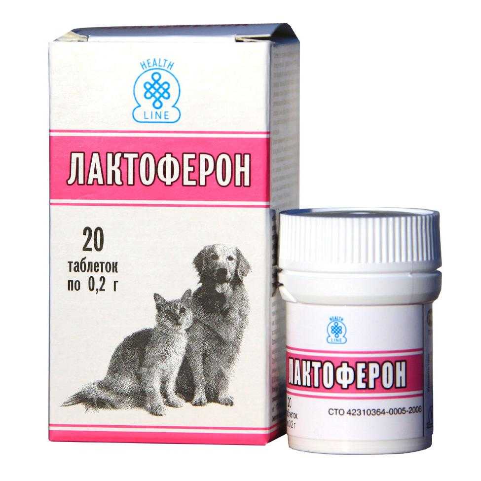 Для чего нужен пробиотик для собак лактобифид? полезно знать!