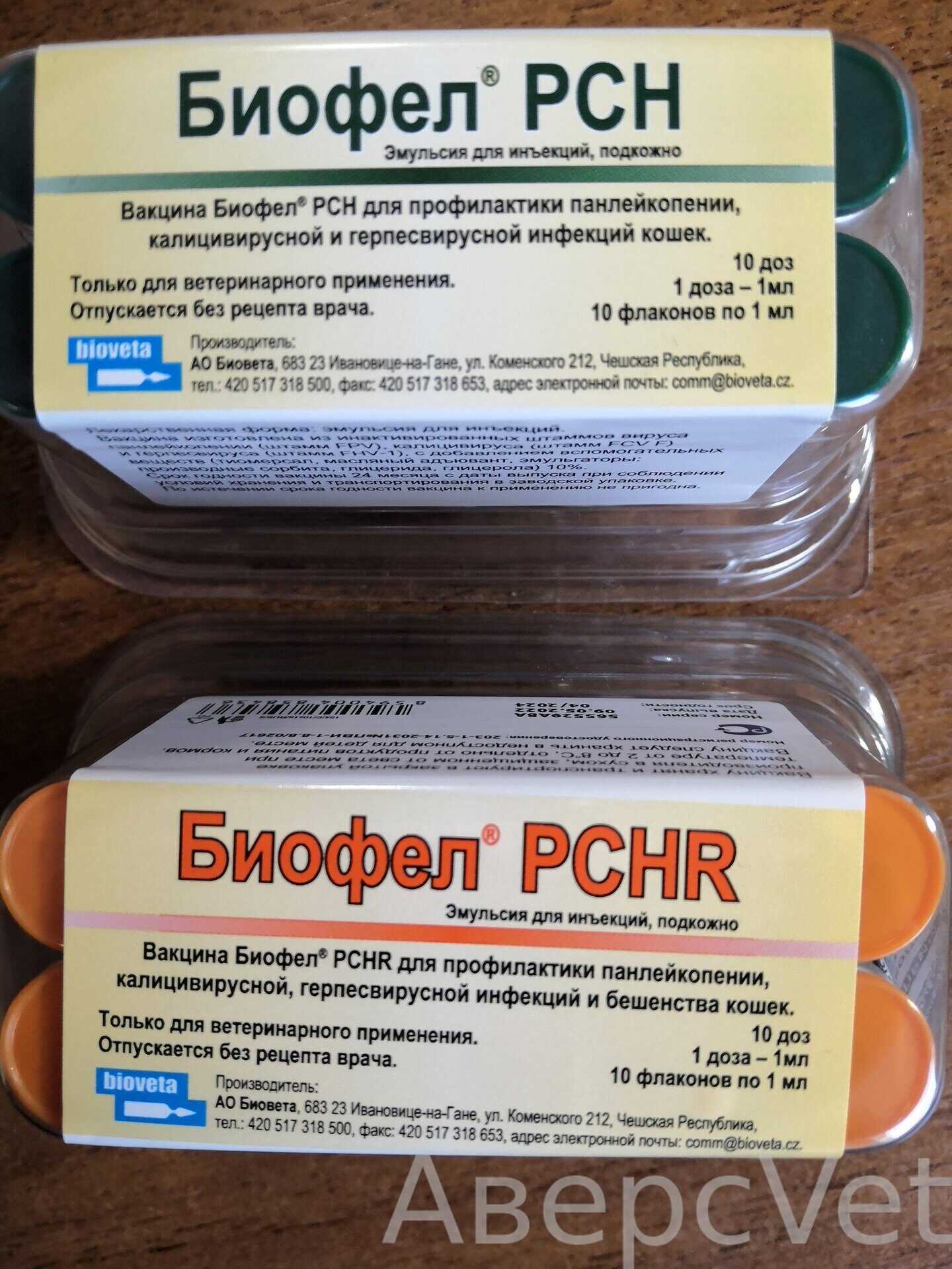 Как делать вакцину биофел для кошек?