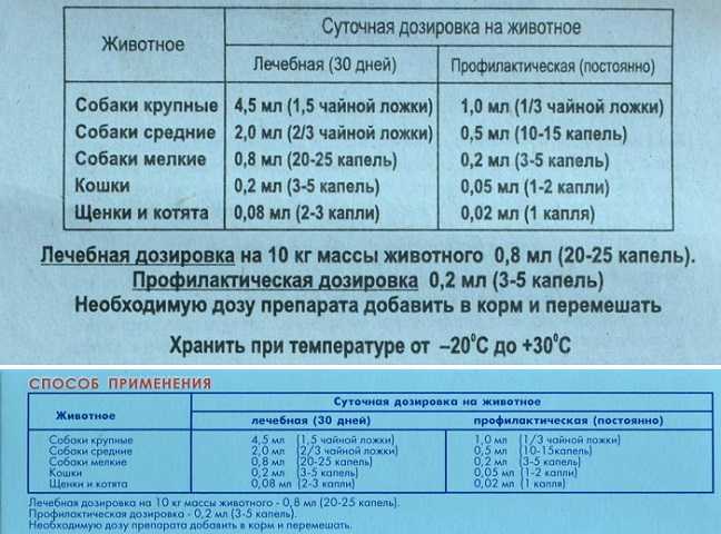 Можно ли коту от поноса дать лоперамид противопоказания к применению