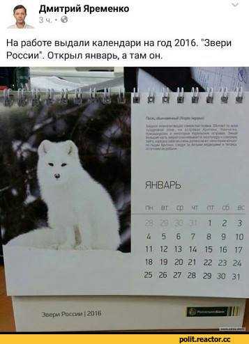 Почему у хомяка выпадает шерсть и что с этим делать