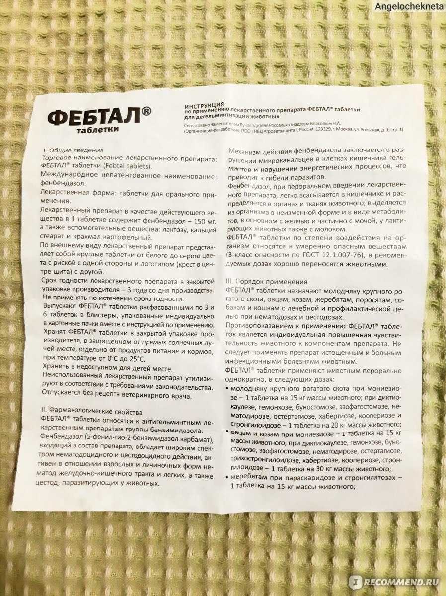 Фебтал для собак: инструкция по применению и отзывы
