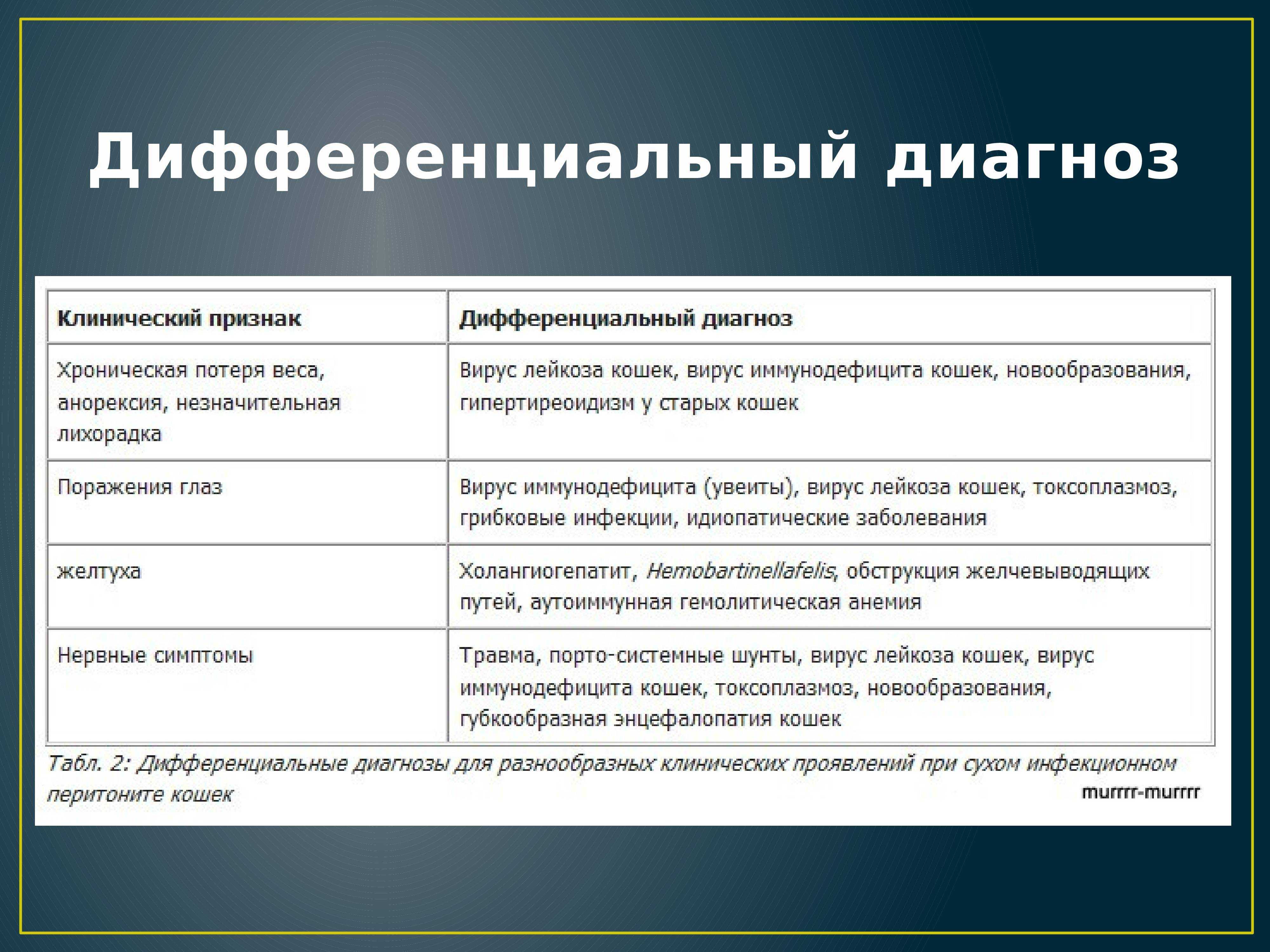 Перитонит у кошек