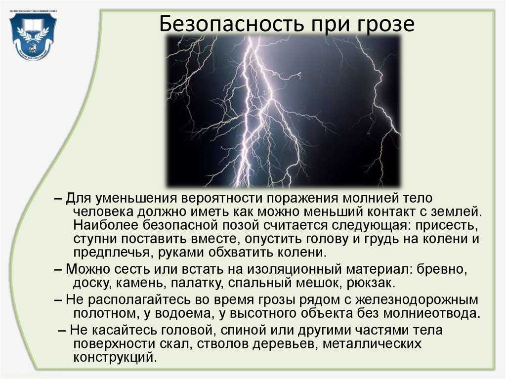 Почему собака боится грозы: причины и рекомендации