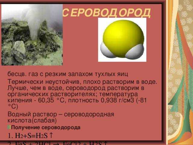 Почему собака часто пердит?