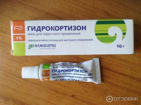 Как подобрать хорошую мазь для глаз кошки? | мир кошек
как подобрать хорошую мазь для глаз кошки? | мир кошекмир кошек