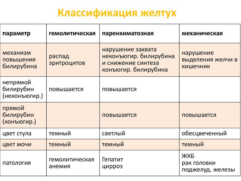Амилорея у собак лечение