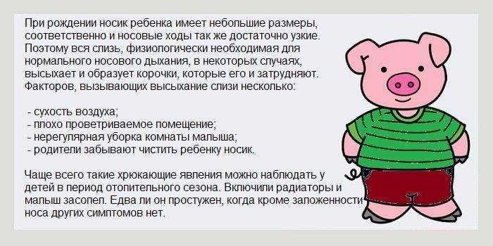 Почему кот дышит как собака, высунув язык