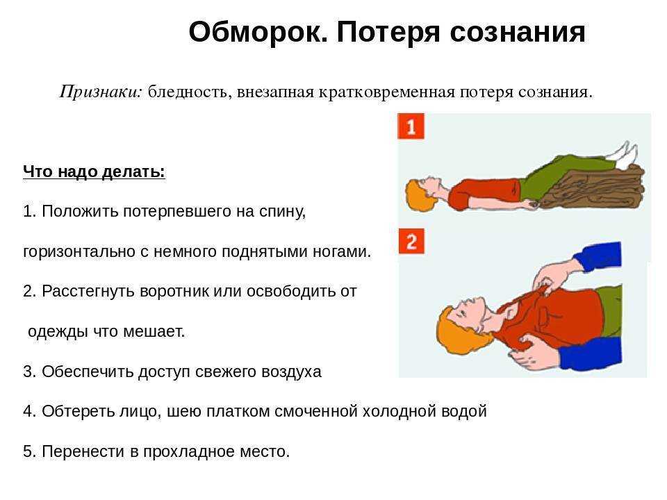 Почему собака теряет сознание: причины и что делать | лечение