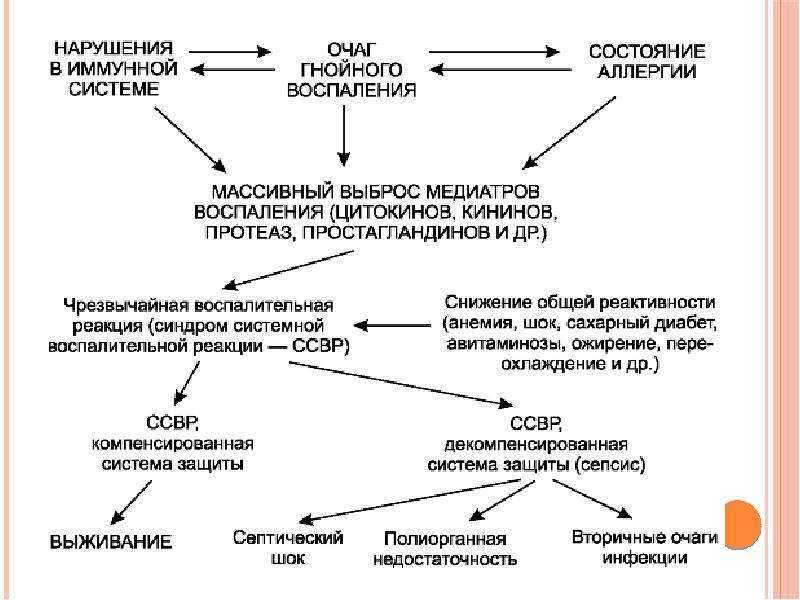 Флегмона у кошки