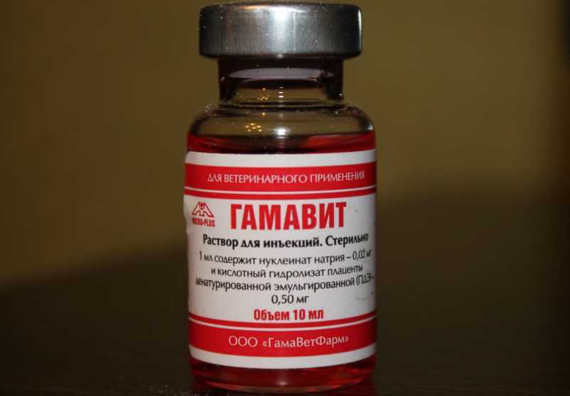 Гамавит для собак