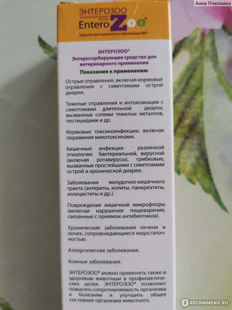 Как правильно дать энтеросгель кошке при поносе | звери дома
