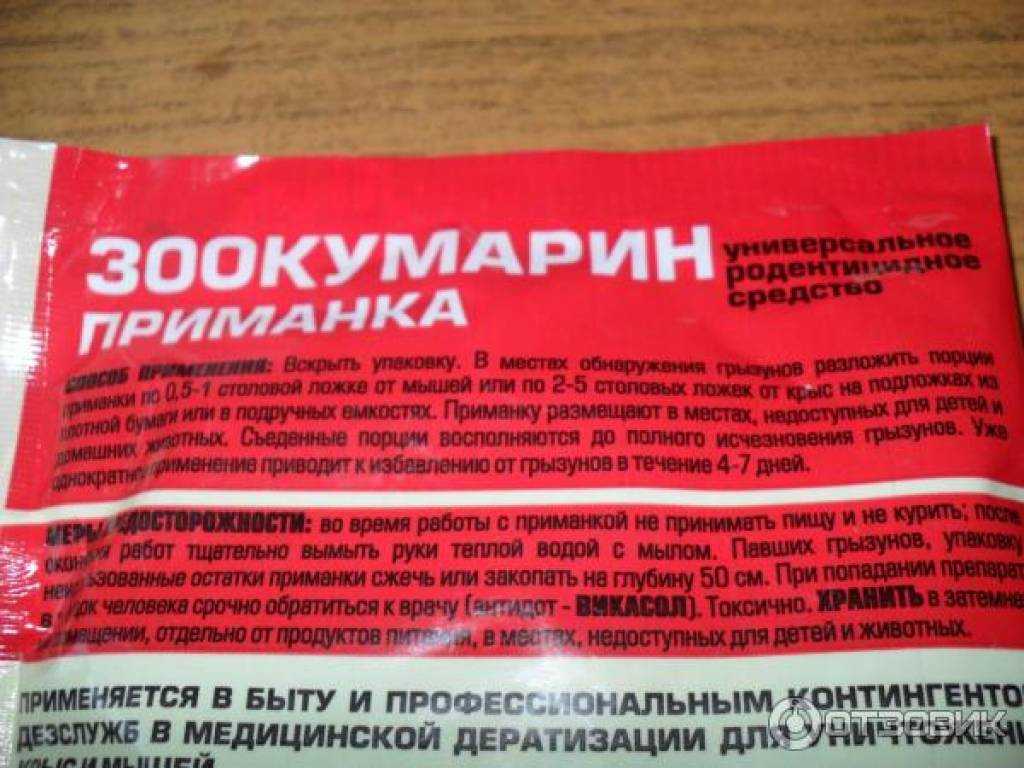 Признаки пищевого отравления у кошек: симптомы, первая помощь и лечение