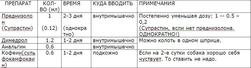 Анальгин для собак и кошек: инструкция по применению, описание, противопоказания, побочные действия | препараты | наши лучшие друзья