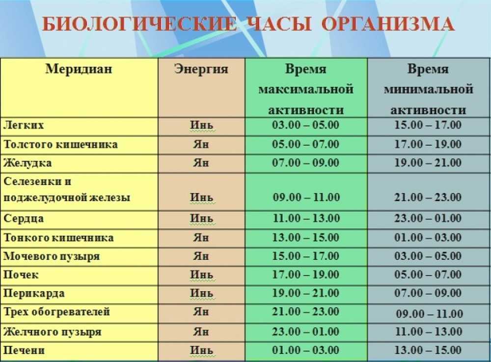 Почему кошки спят с хозяевами: причины такого поведения
почему кошки спят с хозяевами: причины такого поведения