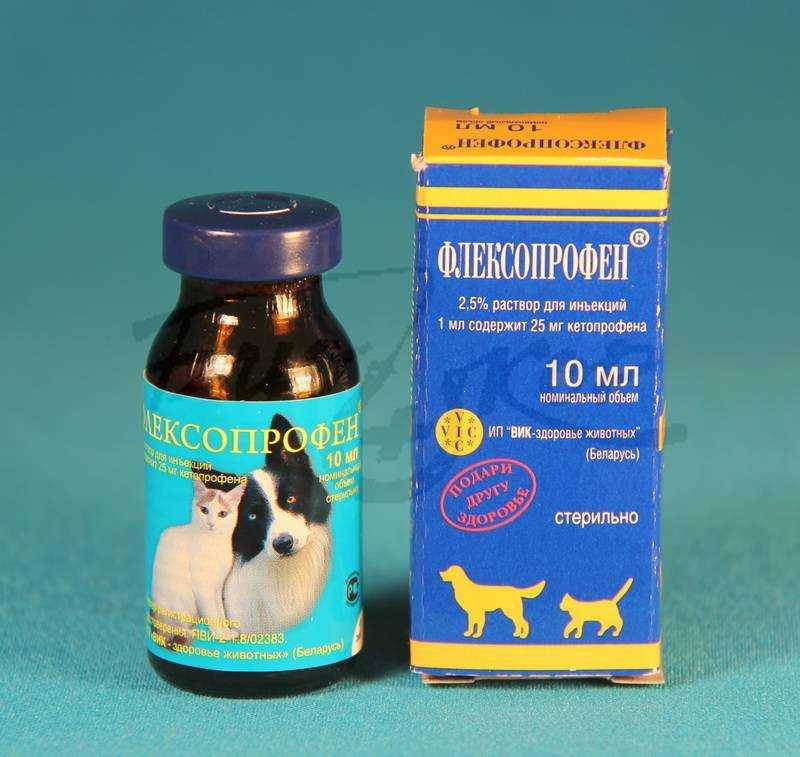 Флексопрофен (flexoprofen): как правильно применять у кошек