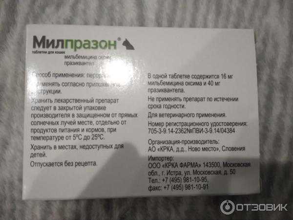 Инструкция по применению препарата милпразон для кошек