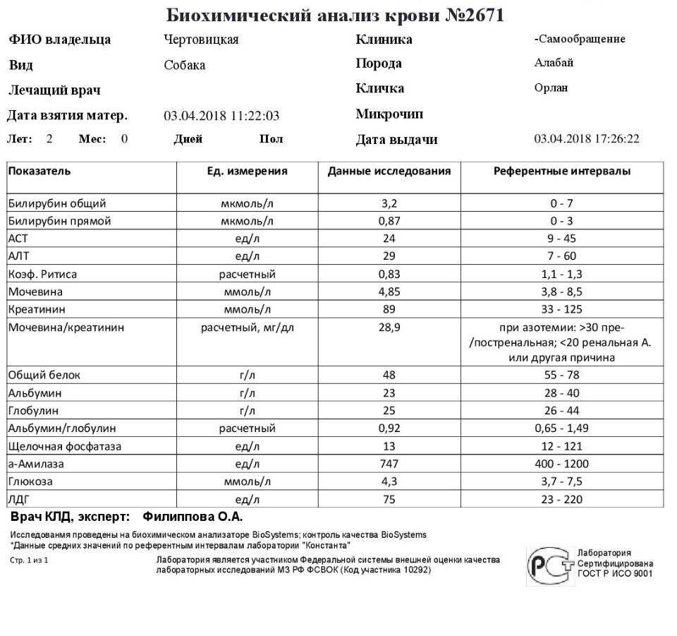 Расшифровка 12 показателей анализа крови у кошки: щелочная фосфатаза, панкреатическая амилаза, коэффициент ритиса