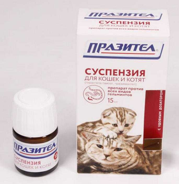 Дронтал для кошек и собак инструкция по применению