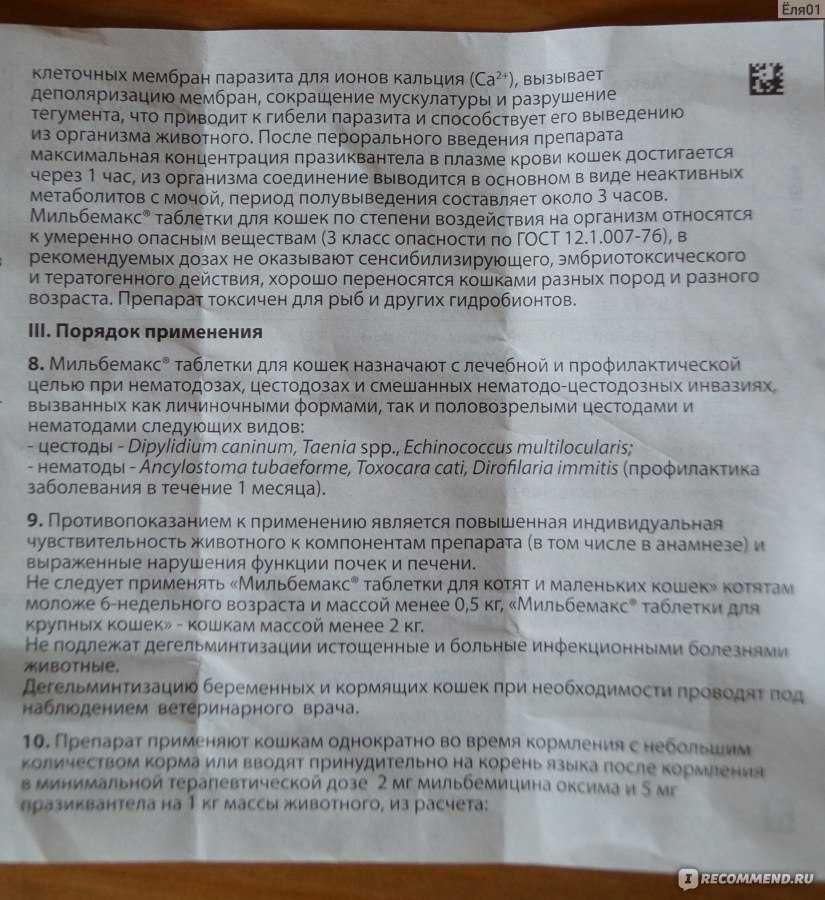Как давать ацилок кошке?