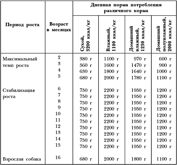 Рацион щенка немецкой овчарки до одного года.