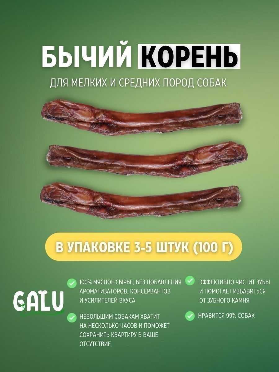 Корм для собак acana: обзор состава, разновидности и отзывы ветеринаров и собаководов