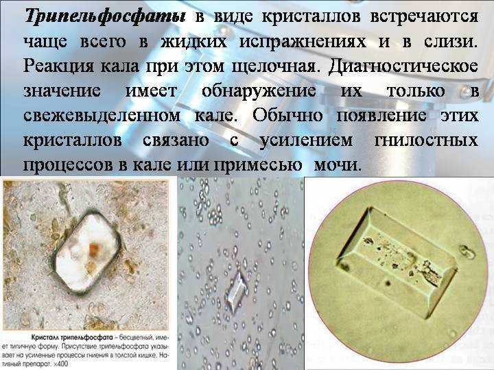Трипельфосфаты у кота лечение котэрвин